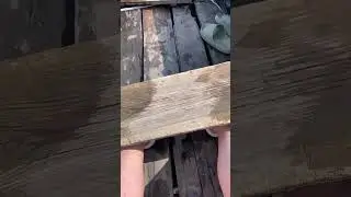 Boat Jump Fail Sends Dog Flying