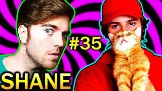 THE MIND OF B&AElig;LI&Aring;S - Pisspreik #35
