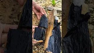 black fire stone in mining #gemstones #diamond #crystals #jade #gold #agate #petrifiedwood