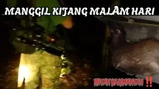 Berburu mikat kijang malam hari di hutan Kalimantan #berburu #huntingmalam #berburukijang