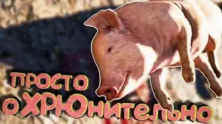 FAR CRY 5 КООПЕРАТИВ - Мы не виноваты, это всё свиньи