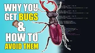 WHY Your Game Gets BUGS & HOW to FIX Them! (With A Focus On L&Ouml;VE & Lua)