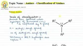5 | TERTIARY AMINES