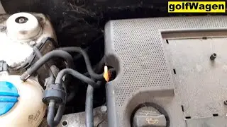VW Polo EVAP purge valve replacement /N80/