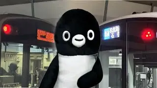 「205置き換え早すぎて今これ」