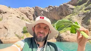 Ҳами барномара бин маҳқулт нашд тамошош накун Д, Сангтуда