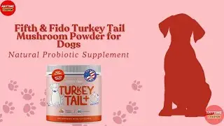 Fifth & Fido Turkey Tail Mushroom Powder for Dogs