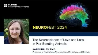 Karen Bales, Ph.D. &mdash; The Neuroscience of Love and Loss in Pair-Bonding Animals