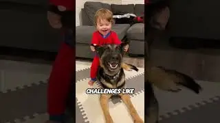 How to Convert Dog Years to Human Years | The Truth About Your Dog&rsquo;s Age 🐾