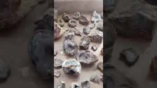 Geodes in Utah!