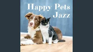 Music Dogs Love