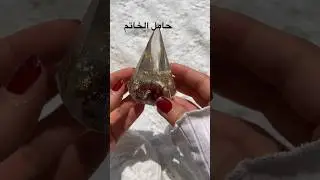 Ring holder cone shape #resin #flowerdrying #ريزن