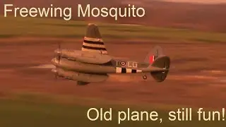 🤗 Freewing Mosquito pure fun with an old plane 🤗