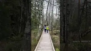 Bohlenweg am Kaltenbronn im N&ouml;rdlichen Schwarzwald
