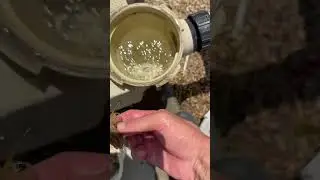Unclog your Pool pump easier - Pro Tip #pentair