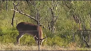 Managing Deer on Large, Agricultural Properties - Destination Whitetail, Full Episode