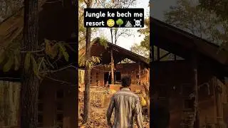 jungle resort in madhya pradesh 🌳⛰️🌾☠️