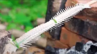 Asian Foodie | Grill fish Bone | Village style #shorts