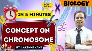Chromosome Concept in 5 Minutes | NEET & Board Biology