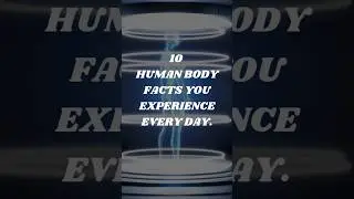 10 Incredible Human Body Facts 🧬😮 | 10 Things #shorts #10things #humanbody