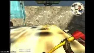 Rush team Bug