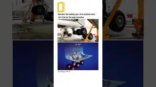 landing gear work  🛬😯 #shortsfeed #shorts #plane #landing
