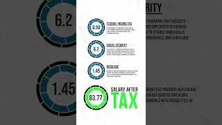 $55,000 Salary After Tax in Tennessee: Dive Into Your Annual Tax Breakdown | 2023