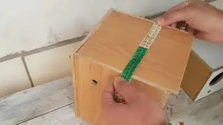As medidas das nossas gaiolas/criadeiras e dos ninhos