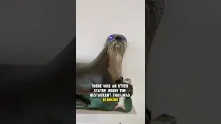 Amazing Blinking Otter Geocache! #geocaching #geocache #gadgetcache