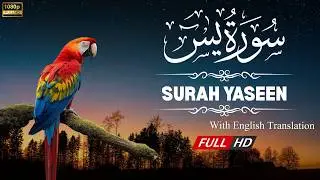 Surah Yaseen | The Heart of the Quran | Peace & Healing | Episode 342 | Zulkarnain TV