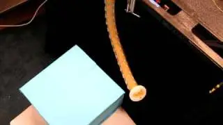 Soft Continuum Arm
