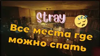 Stray. All places for sleep with original music.