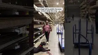 Most Dogs Fail In Public Because Their Owners Skip This Step&hellip;..
