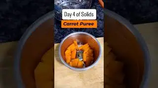 Baby food series || Day 4 🥕🥕 Carrot puree. #babyfood #motherhood #contentcreator #contenttips #viral