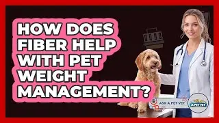 How Does Fiber Help With Pet Weight Management?