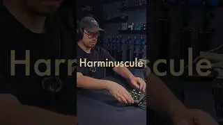 Playful, paraphonic Seashell preset! #instruo #instruoseashell #sounddesign #synthesizer