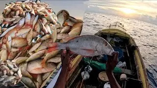 INSANE ACTION| MUTTONSNAPPER,YELLOWTAIL,RED SNAPPER/FISH ON EVER HOOK|MIDNIGHT MADNESS 