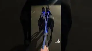 two reasons why I feel safe walking around at night