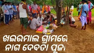 Nag devta Puja Observed in Khairmal Village, Narla Block of Kalahandi Dist #kalahandi #odisha #news 