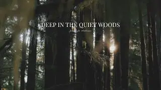 Forest Night with Crickets | Calm Sounds for Deep Sleep (8 Hours)