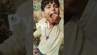 Pyaj #alwarpyajmandi #pyajbhav #pyajmandi #alwar #alwarnewstodayinhindi #alwarnews #alwarnewstoday