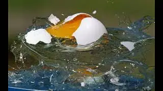 Phantom Camera Captures Whip Shattering an Egg