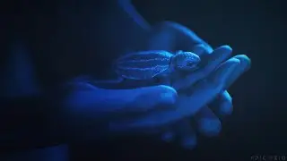 Beyond Blue | A Deep Sea Adventure | Gameplay Walkthrough