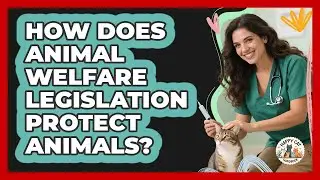 How Does Animal Welfare Legislation Protect Animals? - Animal Care Jobs