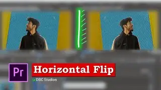 Horizontal Flip Effect | Bhadvenger Studios