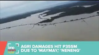 #MaymayPH, #NenengPH leave P355-M in damage to agriculture: DA