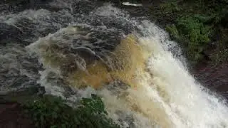 Ganoga Falls at Ricketts Glen State Park PA