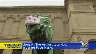 Art Institute Lions, Picasso Don Masks To Promote COVID-19 Safety