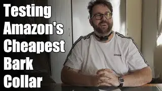 Testing Amazons cheapest Anti Bark Collar.