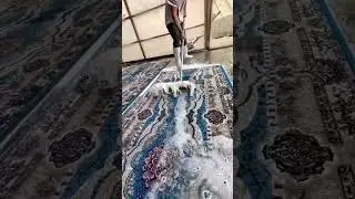 Floor carpet washing process #shorts